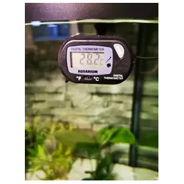 Thermomètre numérique LCD...