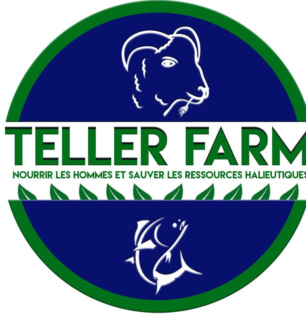 TELLER FARM