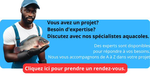 Discutez avec nos experts